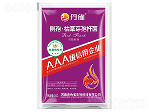 ��(c��)�ߡ��ݲ�ѿ�ߗU��-��ȸ