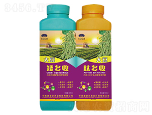 �����a(ch��n)�ײ�-�����S-���Π�