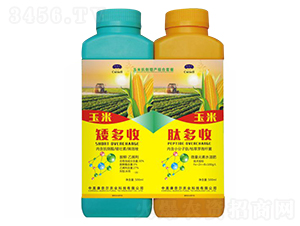 ���׿������a(ch��n)�ײ�-�����S-���Π�