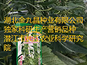 ����֥һ̖(h��o)֥��N��Ʒ�N