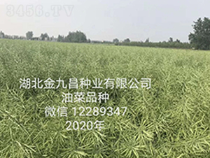 ������Ų��N�I(y��)���޹�˾�Ͳ�Ʒ�N