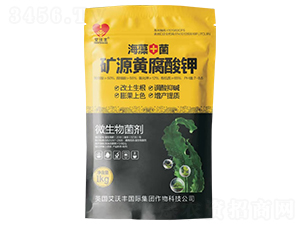 �VԴ�S�����-�����S