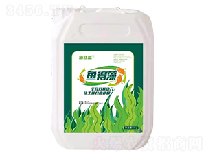 �~����-���z�{(l��n)