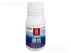 �����������(y��u)-���z�{