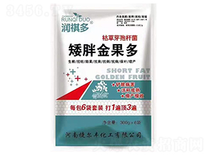 ���ֽ����-��(r��n)����-�ݠ��S