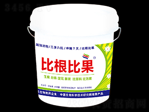 �ȸ��ȹ�-�º���