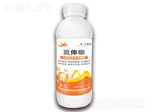 ���w��-�S����-��w�r(n��ng)