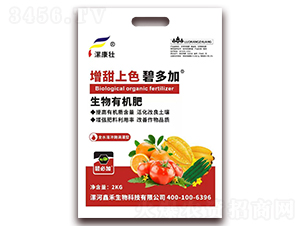 ������ɫ�̶��-�κ�����