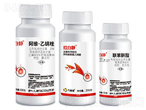 ��������-�t���o-������