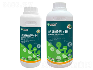 �������+�~-�Ƶ�