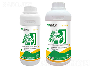 Һ�w��-�Ƶ�