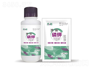 Һ�w��⛷�-�̸�-�ɭ����