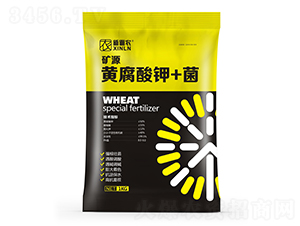 �VԴ�S�����+��-�����r(n��ng)