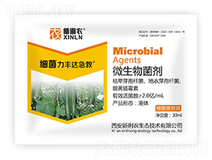 ΢�������-��(x��)�����S�_(d��)����-�����r(n��ng)