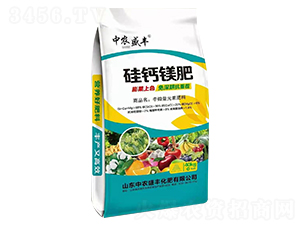 ���}�V��-���r(n��ng)ʢ�S