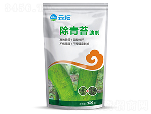 ����̦����-����