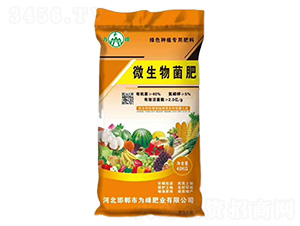 ΢�������-���ʘI(y��)