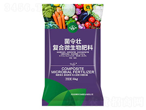 ��(f��)��΢�������-�����-���ʘI(y��)