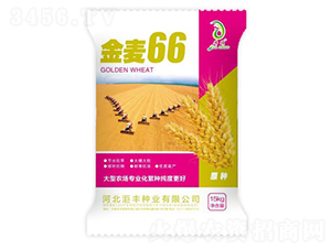 ����66-С���N��-���S�N�I(y��)