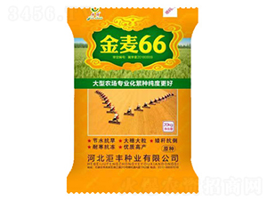 ����66��20kg��-С���N��-���S�N�I(y��)