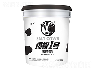 ΢�������-����1̖-�vţ