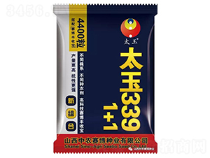 ̫��1+1-���׷N��-���S�r(n��ng)�I(y��)