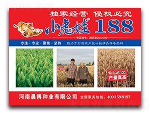 С����188-С���N��-�����N�I(y��)