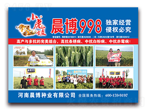 С���޳���998-С���N��-�����N�I(y��)