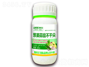 �[����ǲ��ɼ�-٤�נ�-ľ�̼ь�