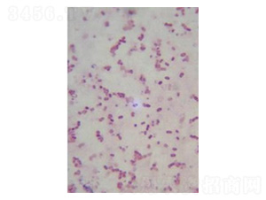 ����ѿ����U��-�Ѝu����