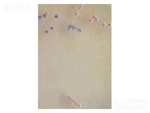 �Gᘼنΰ�������(n��i)������-�Ѝu����