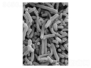 ������U�������ԅ�������-�Ѝu����