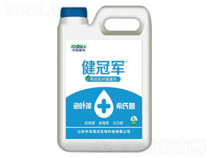 4Lϣ����U������-����܊-�Ѝu����