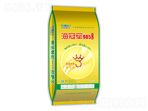 ����܊985-�Ѝu����