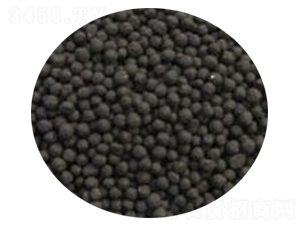 �w�������ЙC�ʣ��A�Σ�-�ֆ�����