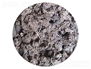 ��Ȼ�����u�S-�������