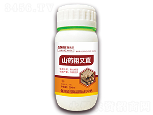 ɽˎ����ֱ-٤�נ�-ľ�̼ь�