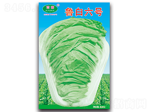 ������̖-�ײ˷N��-�Ɖ�