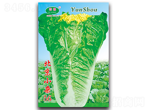 ����С�s56-�ײ˷N��-�Ɖ�