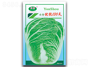 �Ɖۃ�(y��u)��130��-�ײ˷N��-�Ɖ�