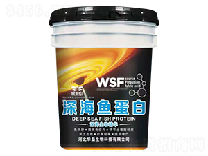 ��~(y��)����-���SȪ-���S�r(n��ng)�I(y��)