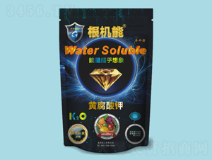 �S�����-���C��-��������