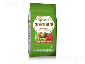 �����ЙC��-�f���S