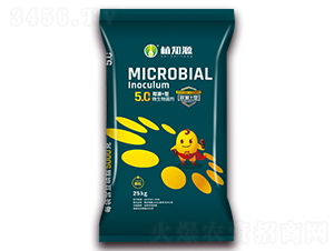 5�|�pԴ+��΢�������-ֲ֪Դ-��Ӣ���Q(m��o)