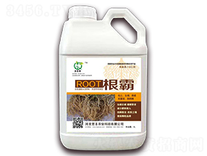 5L����-���S��-��(ji��n)�S�r(n��ng)�I(y��)