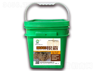 10L����-���S��-��(ji��n)�S�r(n��ng)�I(y��)