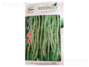 �L����܊-���ǷN��-����N�I(y��)