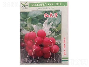 �t̫��-�}���N��-����N�I(y��)