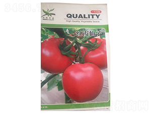 �tϼ����-���ѷN��-����N�I(y��)