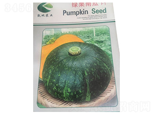 �G���Ϲ�-�ϹϷN��-����N�I(y��)